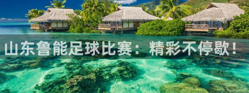 山东鲁能足球比赛：精彩不停歇！