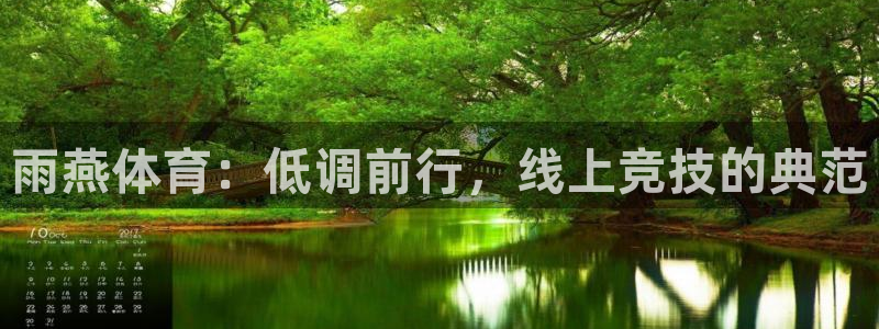 雨燕体育：低调前行，线上竞技的典范