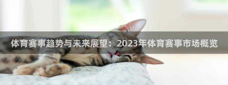 体育赛事趋势与未来展望：2023年体育赛事市场概览
