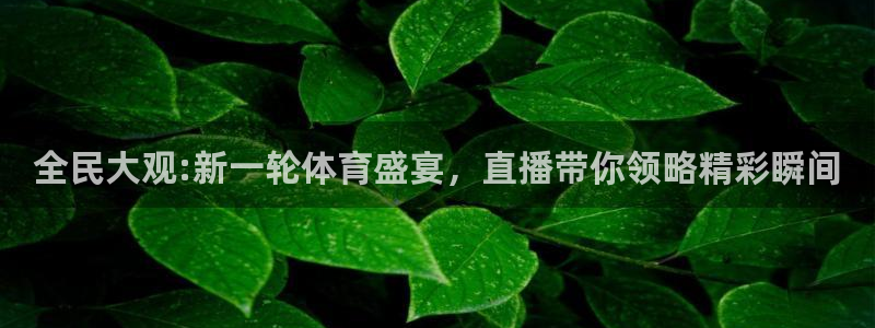 全民大观:新一轮体育盛宴，直播带你领略精彩瞬间