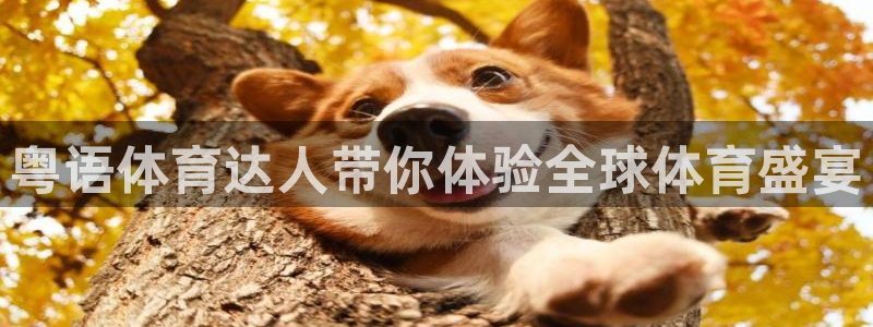 粤语体育达人带你体验全球体育盛宴