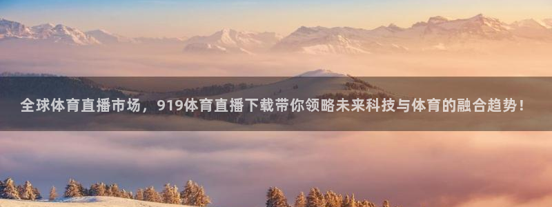 全球体育直播市场，919体育直播下载带你领略未来科技与体育的融合趋势！