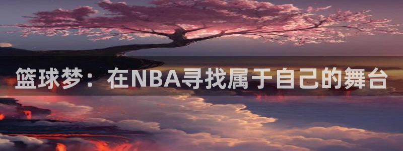 篮球梦：在NBA寻找属于自己的舞台
