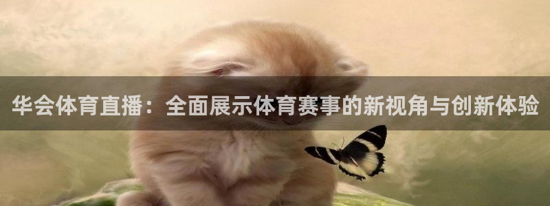华会体育直播：全面展示体育赛事的新视角与创新体验