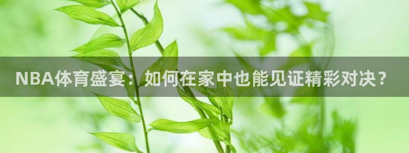 NBA体育盛宴：如何在家中也能见证精彩对决？