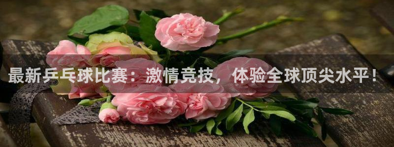 最新乒乓球比赛：激情竞技，体验全球顶尖水平！