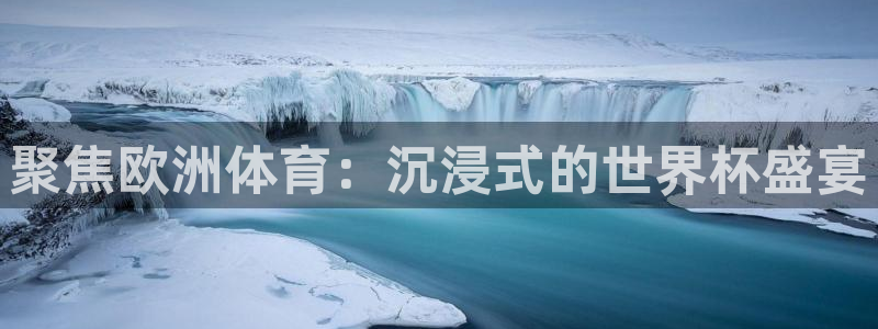 聚焦欧洲体育：沉浸式的世界杯盛宴
