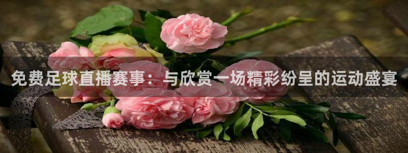 免费足球直播赛事：与欣赏一场精彩纷呈的运动盛宴