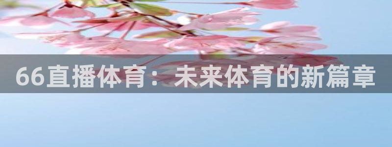 66直播体育：未来体育的新篇章