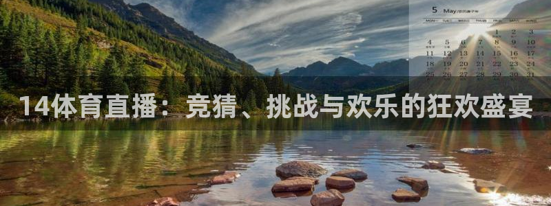 14体育直播：竞猜、挑战与欢乐的狂欢盛宴