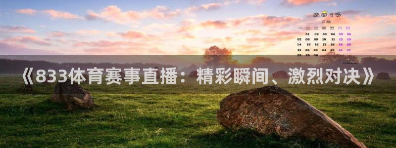 《833体育赛事直播：精彩瞬间、激烈对决》