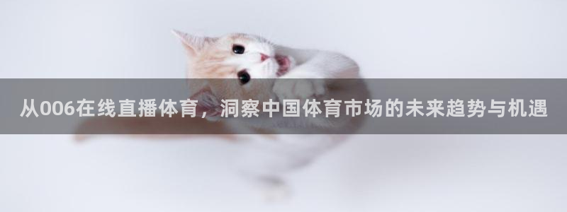 从006在线直播体育，洞察中国体育市场的未来趋势与机遇