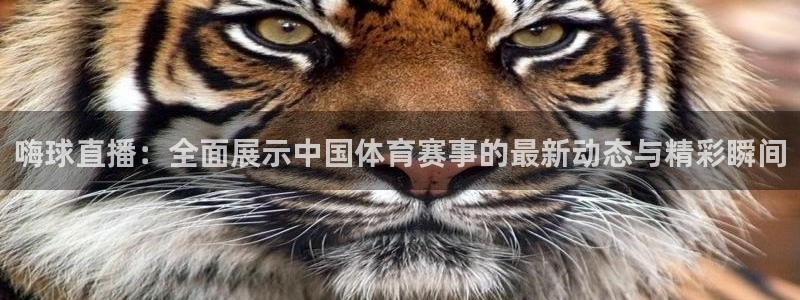 嗨球直播：全面展示中国体育赛事的最新动态与精彩瞬间