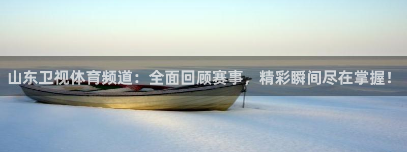 山东卫视体育频道：全面回顾赛事，精彩瞬间尽在掌握！