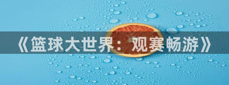 《篮球大世界：观赛畅游》
