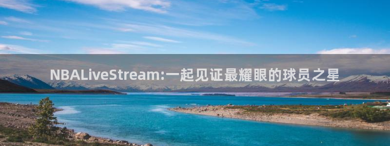 NBALiveStream:一起见证最耀眼的球员之星
