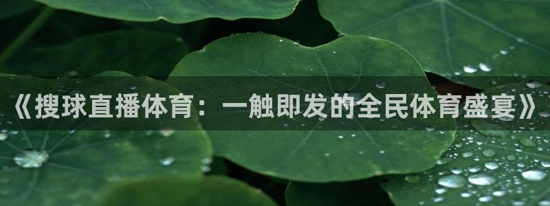 《搜球直播体育：一触即发的全民体育盛宴》