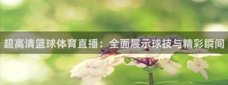 超高清篮球体育直播：全面展示球技与精彩瞬间