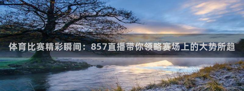 体育比赛精彩瞬间：857直播带你领略赛场上的大势所趋