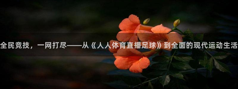 全民竞技，一网打尽——从《人人体育直播足球》到全面的现代运动生活