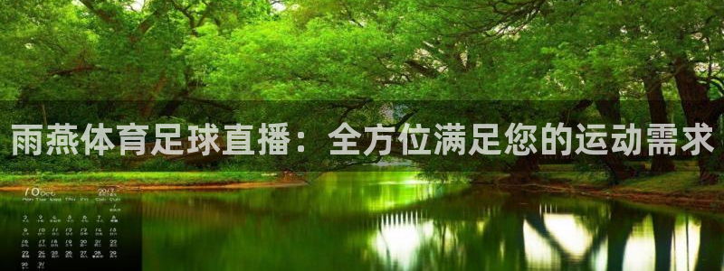 雨燕体育足球直播：全方位满足您的运动需求