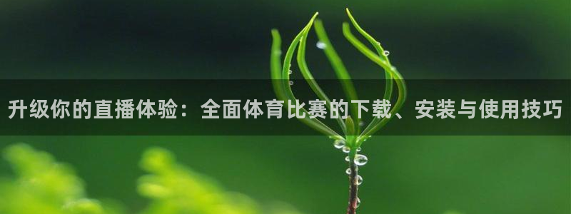 升级你的直播体验：全面体育比赛的下载、安装与使用技巧