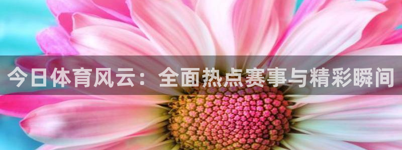 今日体育风云：全面热点赛事与精彩瞬间