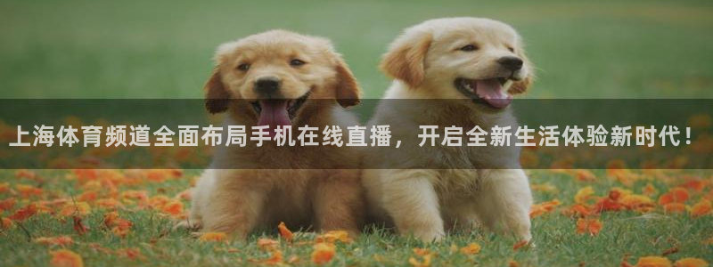 上海体育频道全面布局手机在线直播，开启全新生活体验新时代！