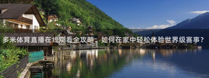 多米体育直播在线观看全攻略：如何在家中轻松体验世界级赛事？