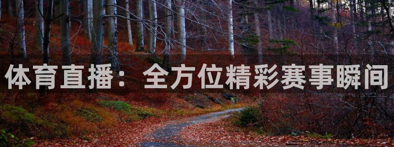 体育直播：全方位精彩赛事瞬间