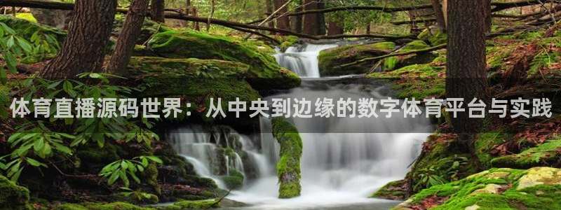 体育直播源码世界：从中央到边缘的数字体育平台与实践