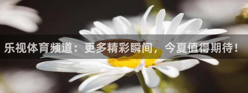 乐视体育频道：更多精彩瞬间，今夏值得期待！