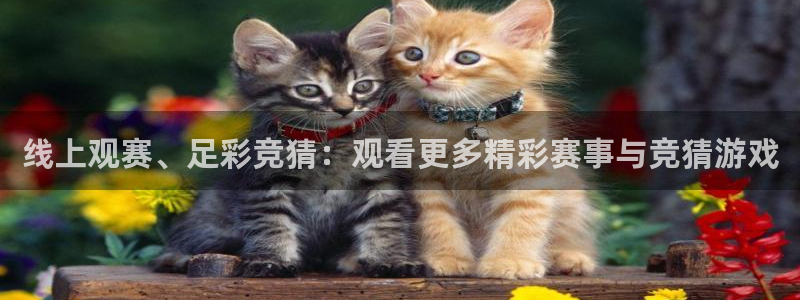 线上观赛、足彩竞猜：观看更多精彩赛事与竞猜游戏