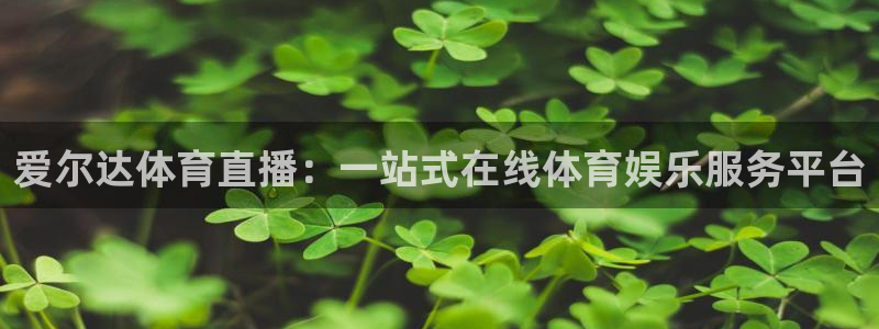 爱尔达体育直播：一站式在线体育娱乐服务平台