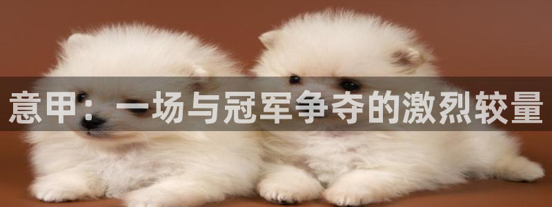 意甲：一场与冠军争夺的激烈较量