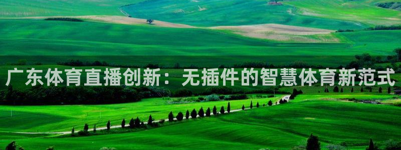 广东体育直播创新：无插件的智慧体育新范式