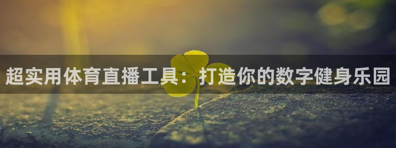 超实用体育直播工具：打造你的数字健身乐园