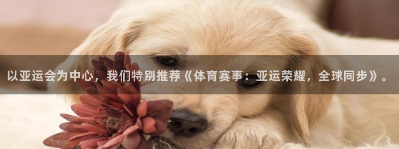 以亚运会为中心，我们特别推荐《体育赛事：亚运荣耀，全球同步》。