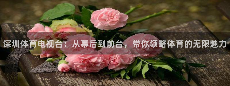 深圳体育电视台：从幕后到前台，带你领略体育的无限魅力