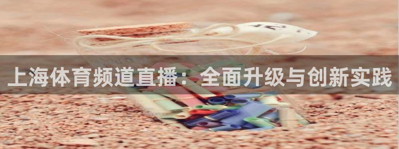 上海体育频道直播：全面升级与创新实践