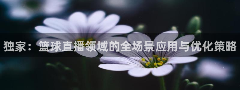 独家：篮球直播领域的全场景应用与优化策略