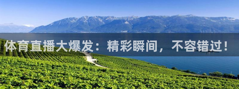 体育直播大爆发：精彩瞬间，不容错过！