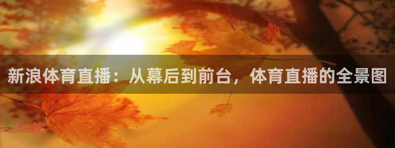 新浪体育直播：从幕后到前台，体育直播的全景图