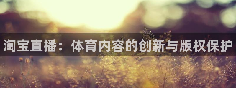 淘宝直播：体育内容的创新与版权保护
