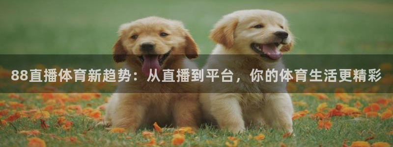 88直播体育新趋势：从直播到平台，你的体育生活更精彩