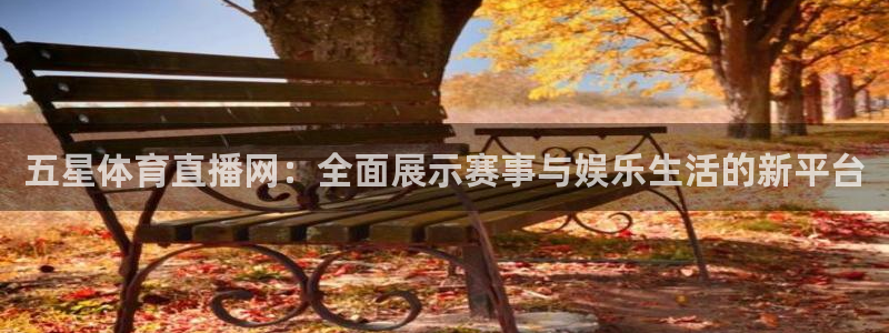 五星体育直播网：全面展示赛事与娱乐生活的新平台