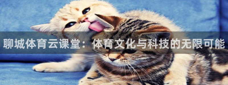 聊城体育云课堂：体育文化与科技的无限可能