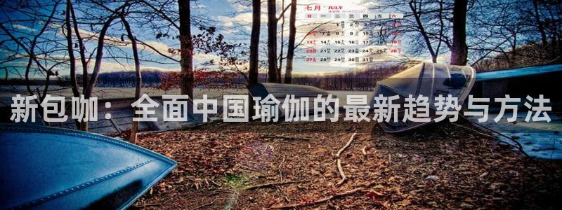 新包咖：全面中国瑜伽的最新趋势与方法