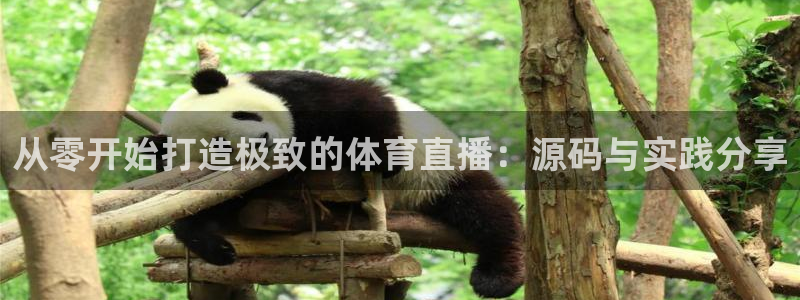从零开始打造极致的体育直播：源码与实践分享